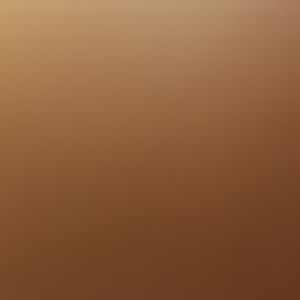 Meet your Posher, Betty